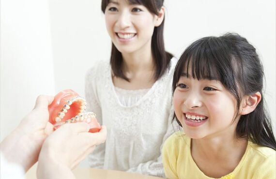 座間市の相武台を拠点に虫歯の治療や予防に関するアドバイスを実施中です